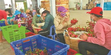 滇臺連線 深化市場調研，共拓合作新局